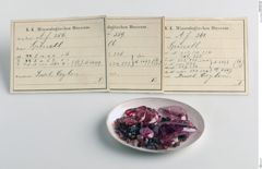 Foto von Spinell (NHMW-MIN-Af356)